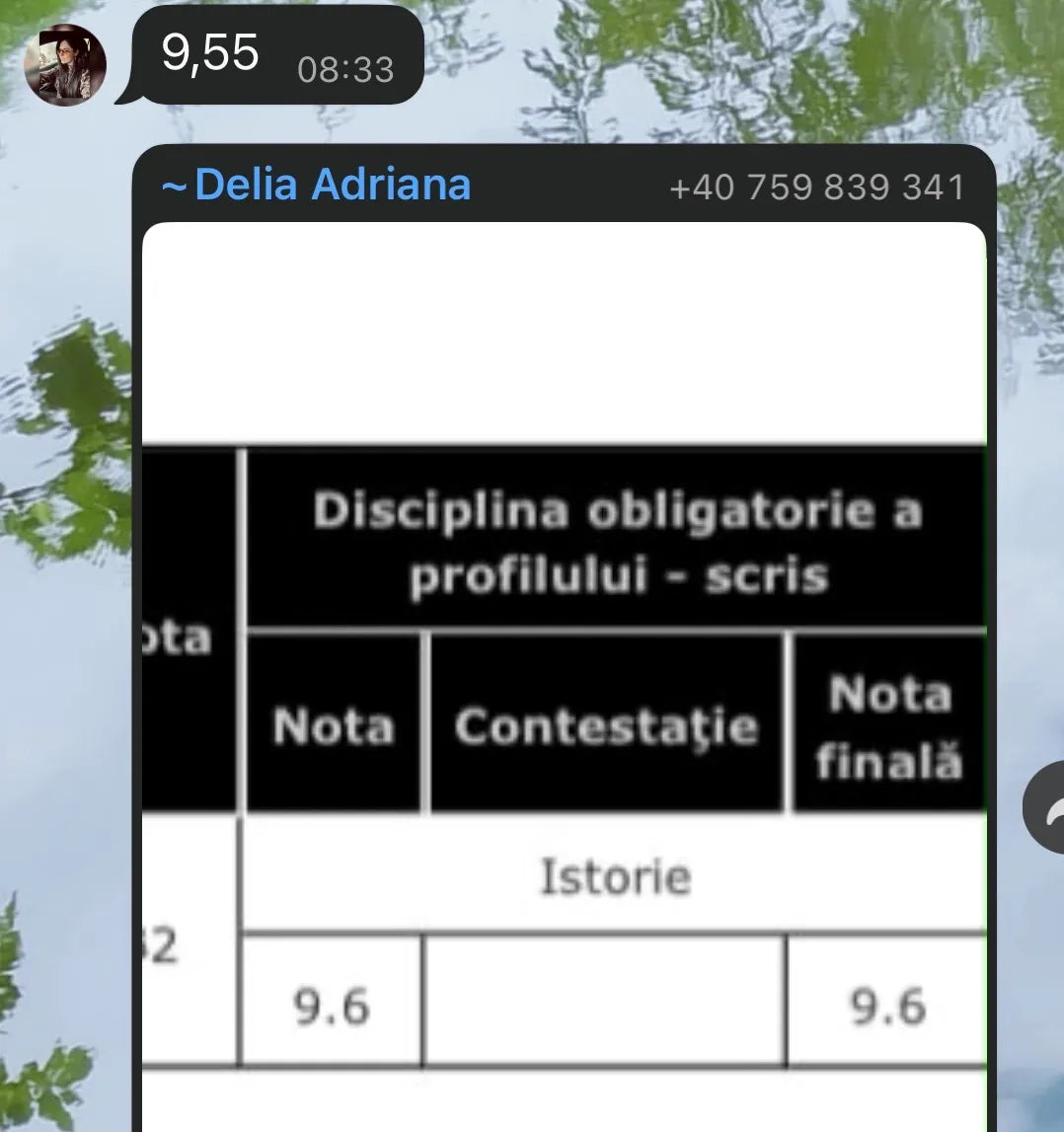 Recenzie WhatsApp de la elev