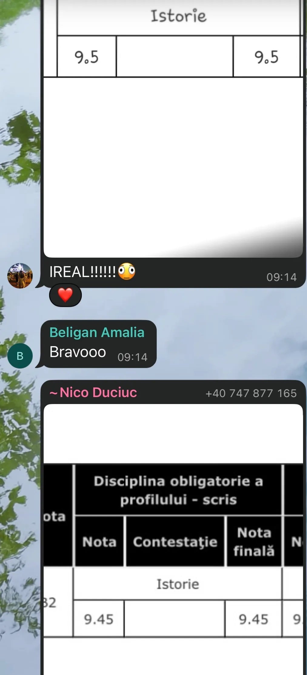 Recenzie WhatsApp de la elev