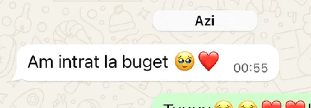 Recenzie WhatsApp de la elev